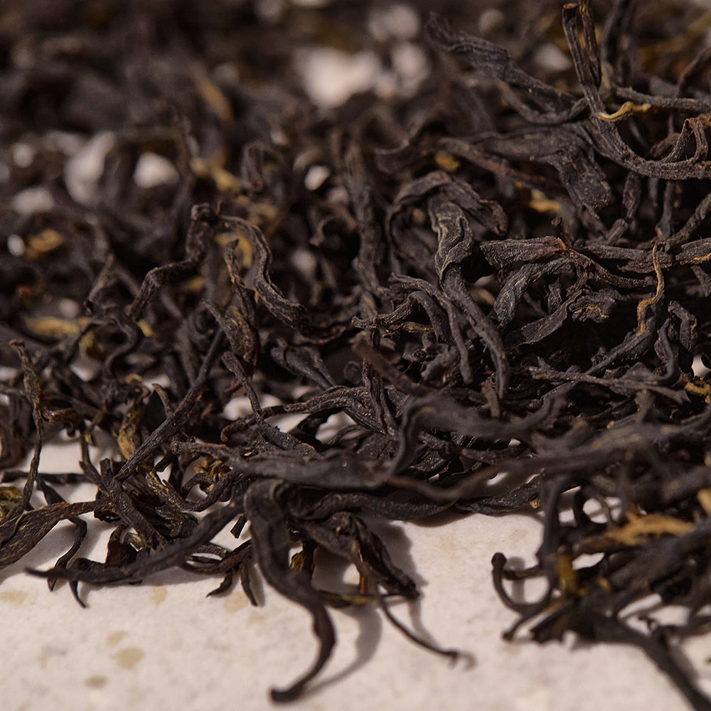 Revitalizing and nourishing ampoule serum with kombucha Kaine Kombu Barrier - Koreancare