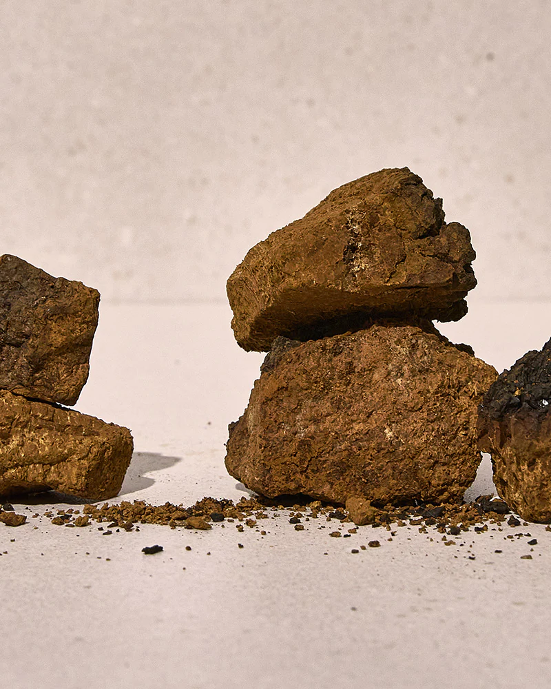 Kaine Chaga Collagen Charging Anti-Aging Revitalizing Face Serum - Koreancare